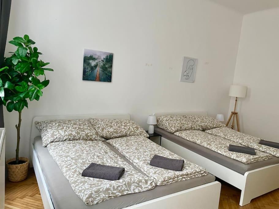 Apartment 70m2 Premium With Terrace & Free Parking Wien